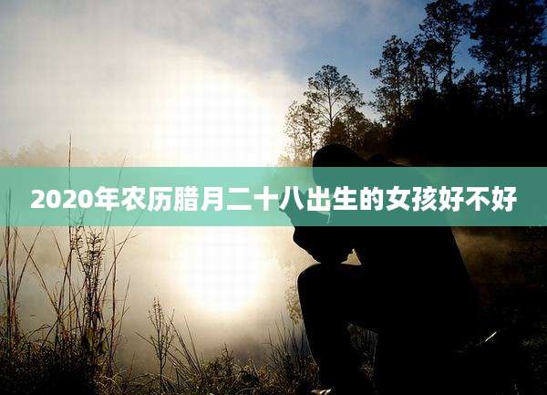 2020年农历腊月二十八出生的女孩好不好