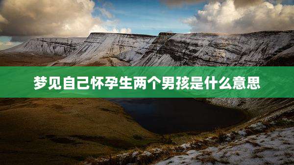 梦见自己怀孕生两个男孩是什么意思