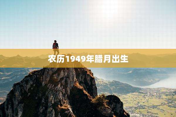 农历1949年腊月出生