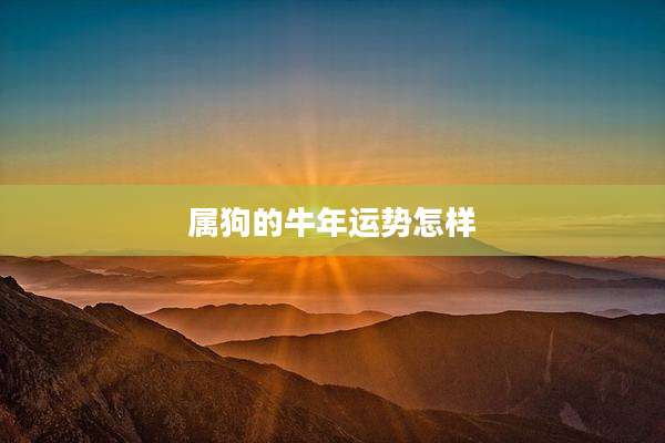 属狗的牛年运势怎样