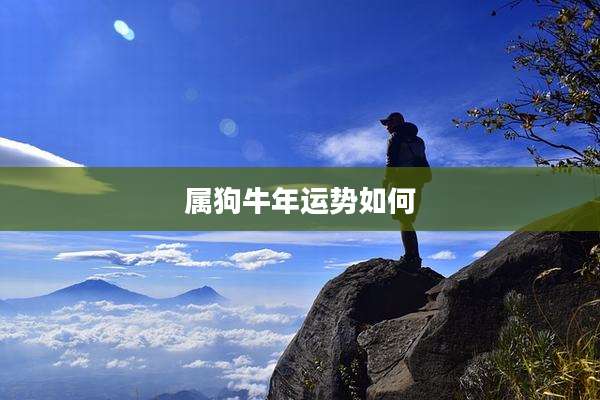 属狗牛年运势如何