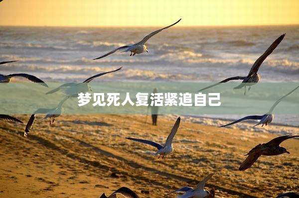 梦见死人复活紧追自己