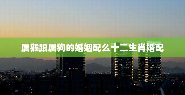 属猴跟属狗的婚姻配么十二生肖婚配