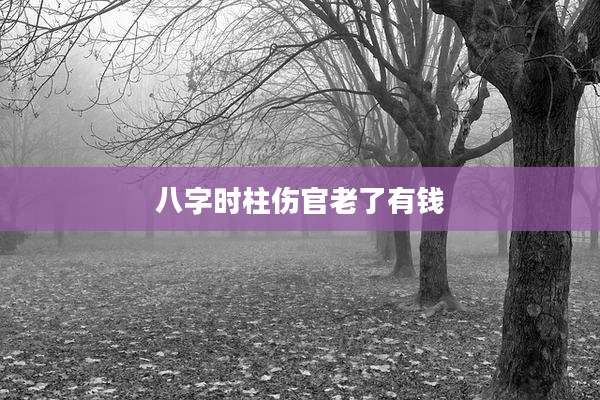 八字时柱伤官老了有钱