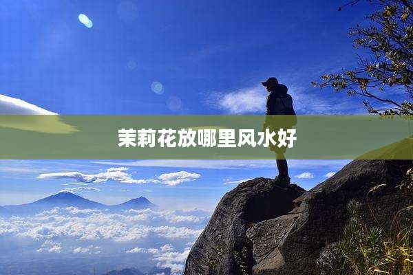 茉莉花放哪里风水好