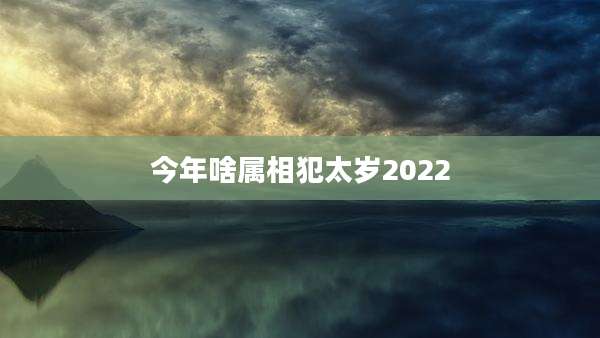 今年啥属相犯太岁2022