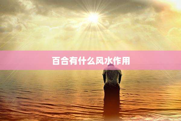 百合有什么风水作用
