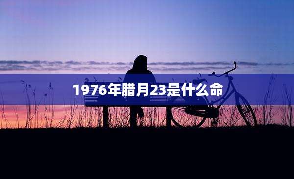 1976年腊月23是什么命