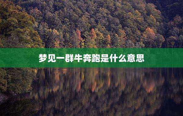 梦见一群牛奔跑是什么意思