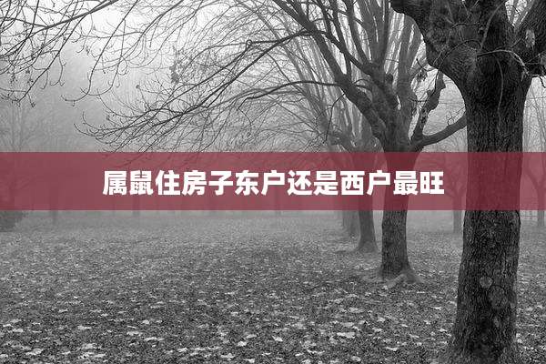 属鼠住房子东户还是西户最旺