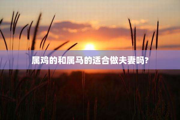 属鸡的和属马的适合做夫妻吗?