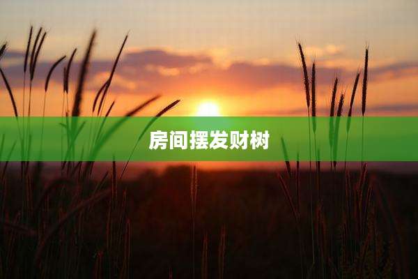 房间摆发财树