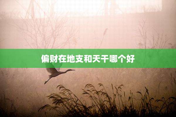偏财在地支和天干哪个好