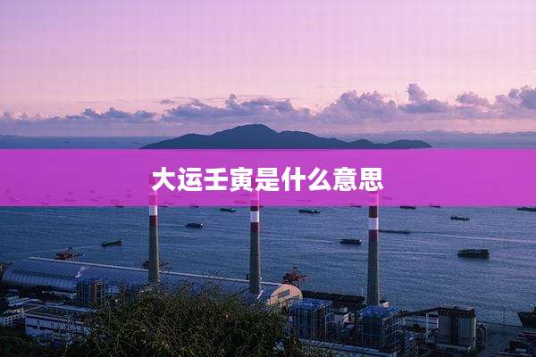 大运壬寅是什么意思