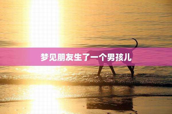 梦见朋友生了一个男孩儿