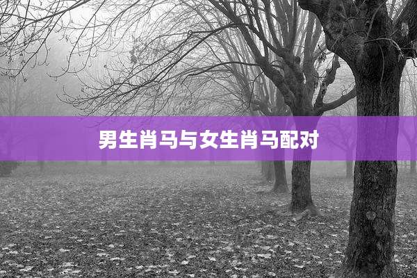 男生肖马与女生肖马配对