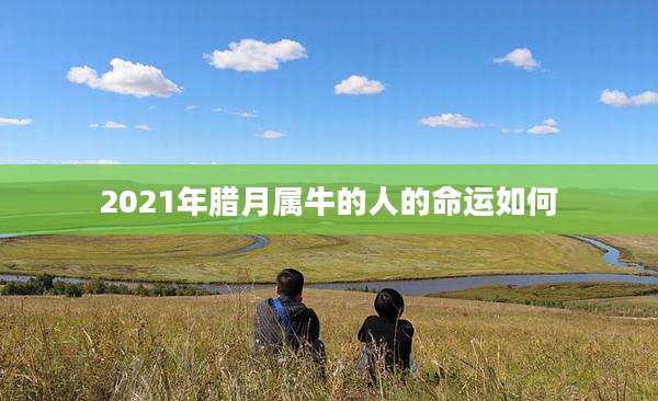 2021年腊月属牛的人的命运如何