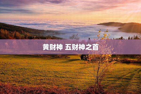 黄财神 五财神之首