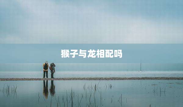 猴子与龙相配吗