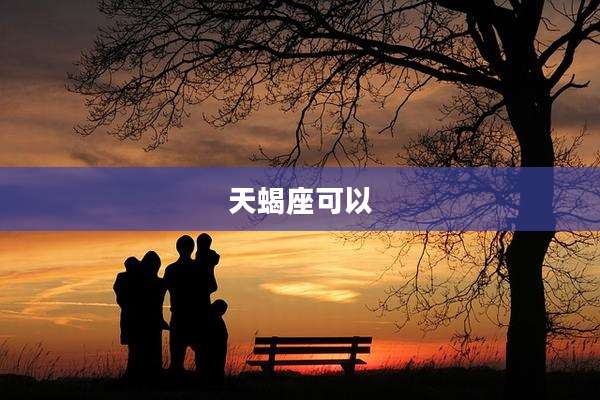 天蝎座可以