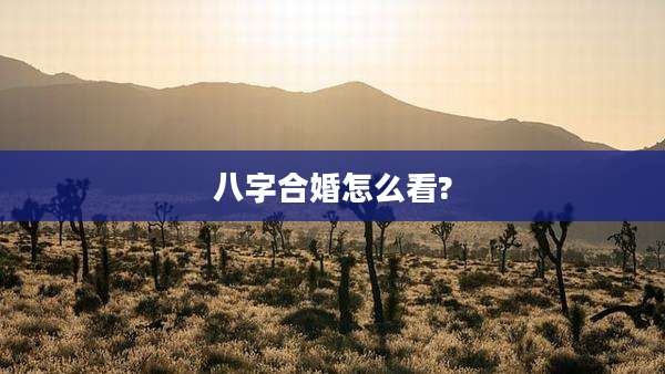 八字合婚怎么看?