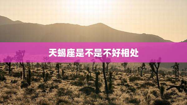 天蝎座是不是不好相处