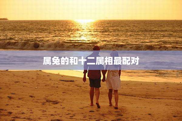 属兔的和十二属相最配对
