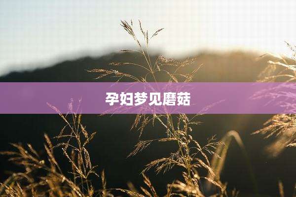 孕妇梦见磨菇