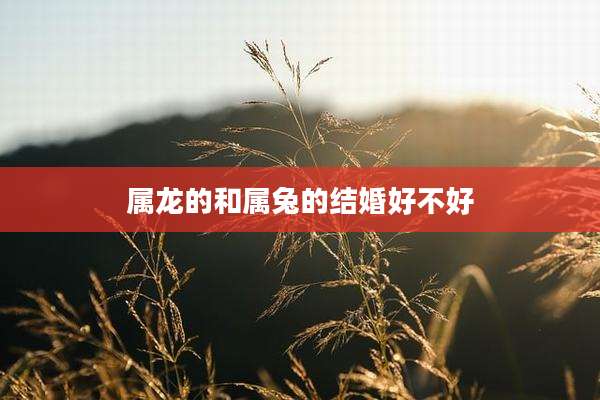 属龙的和属兔的结婚好不好