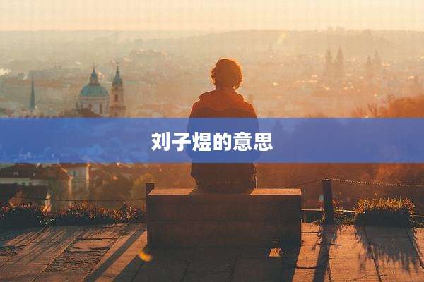 刘子煜的意思