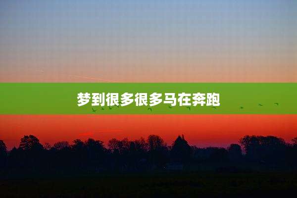 梦到很多很多马在奔跑