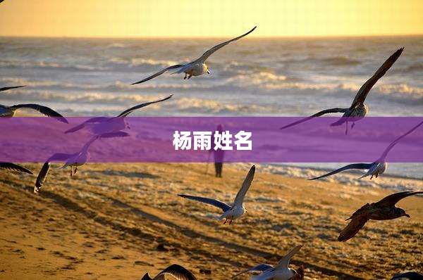 杨雨姓名