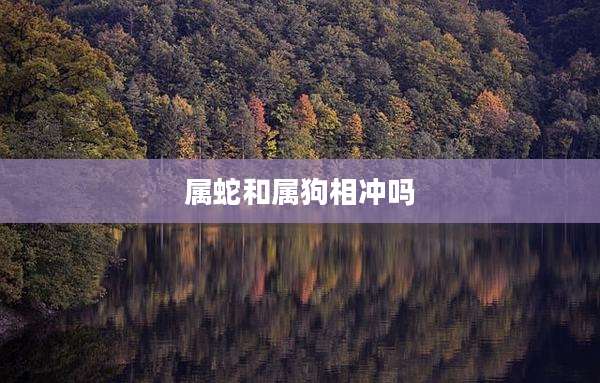 属蛇和属狗相冲吗