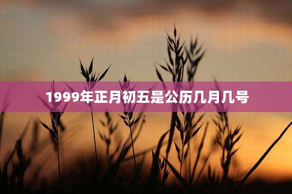 1999年正月初五是公历几月几号
