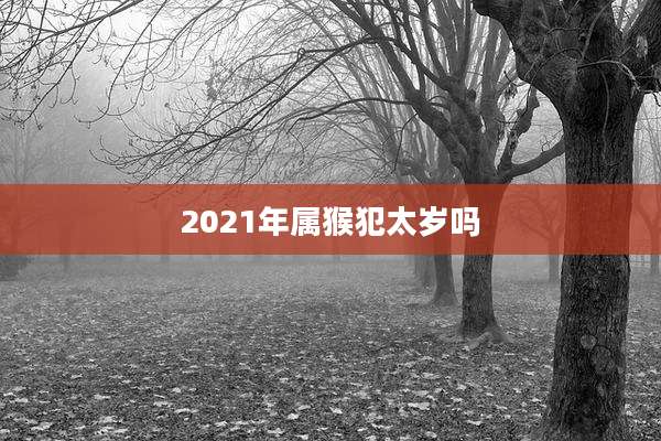 2021年属猴犯太岁吗