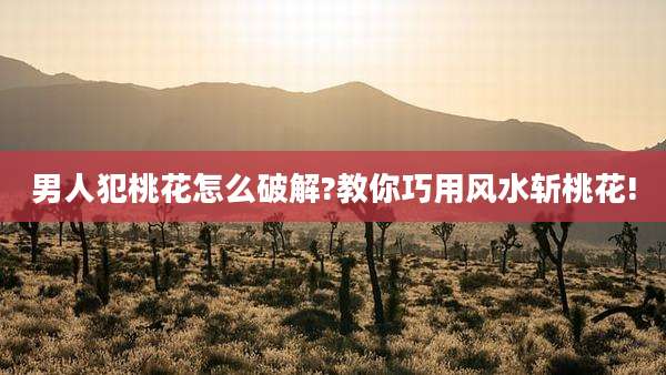 男人犯桃花怎么破解?教你巧用风水斩桃花!