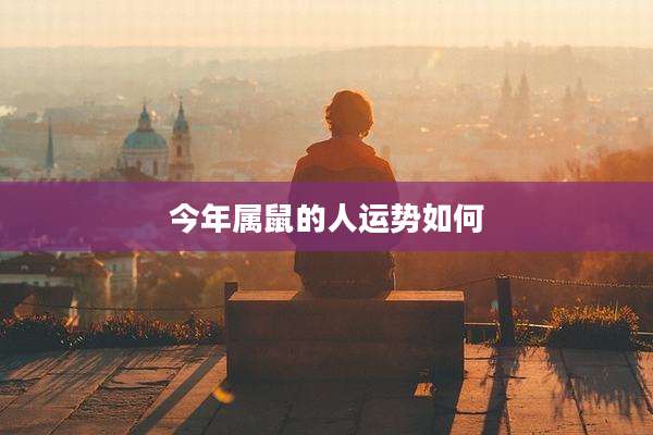 今年属鼠的人运势如何