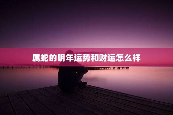 属蛇的明年运势和财运怎么样