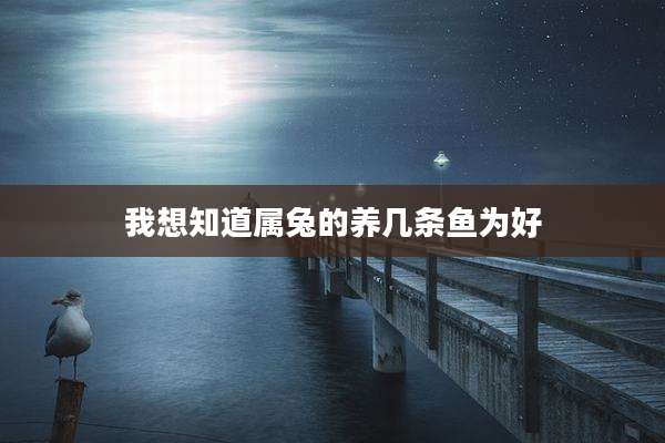 我想知道属兔的养几条鱼为好