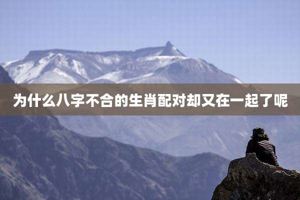 为什么八字不合的生肖配对却又在一起了呢