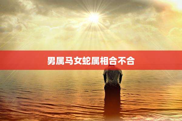 男属马女蛇属相合不合