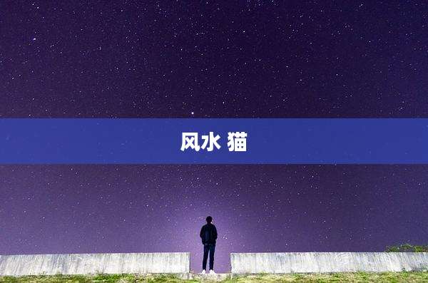 风水 猫