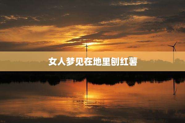女人梦见在地里刨红薯