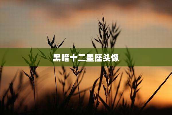 黑暗十二星座头像