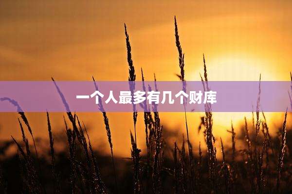 一个人最多有几个财库