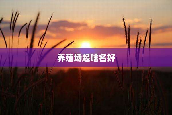 养殖场起啥名好