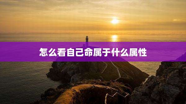怎么看自己命属于什么属性