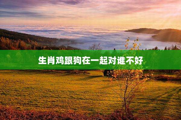 生肖鸡跟狗在一起对谁不好
