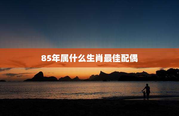 85年属什么生肖最佳配偶