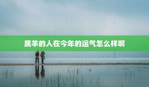 属羊的人在今年的运气怎么样啊